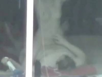 గట్టి శ్యామల ఆసన దండయాత్ర నుండి బయటపడింది