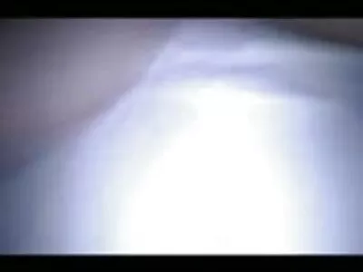 టుటా మరియు వాల్డెమార్