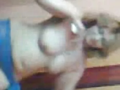 నా కొమ్ము కోడి కోసం నా తేనె తొలగిపోతోంది